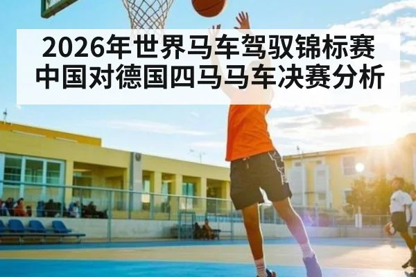 2026年世界马车驾驭锦标赛中国对德国四马马车决赛分析